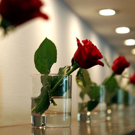Hotel Antonios オリンピア エクステリア 写真